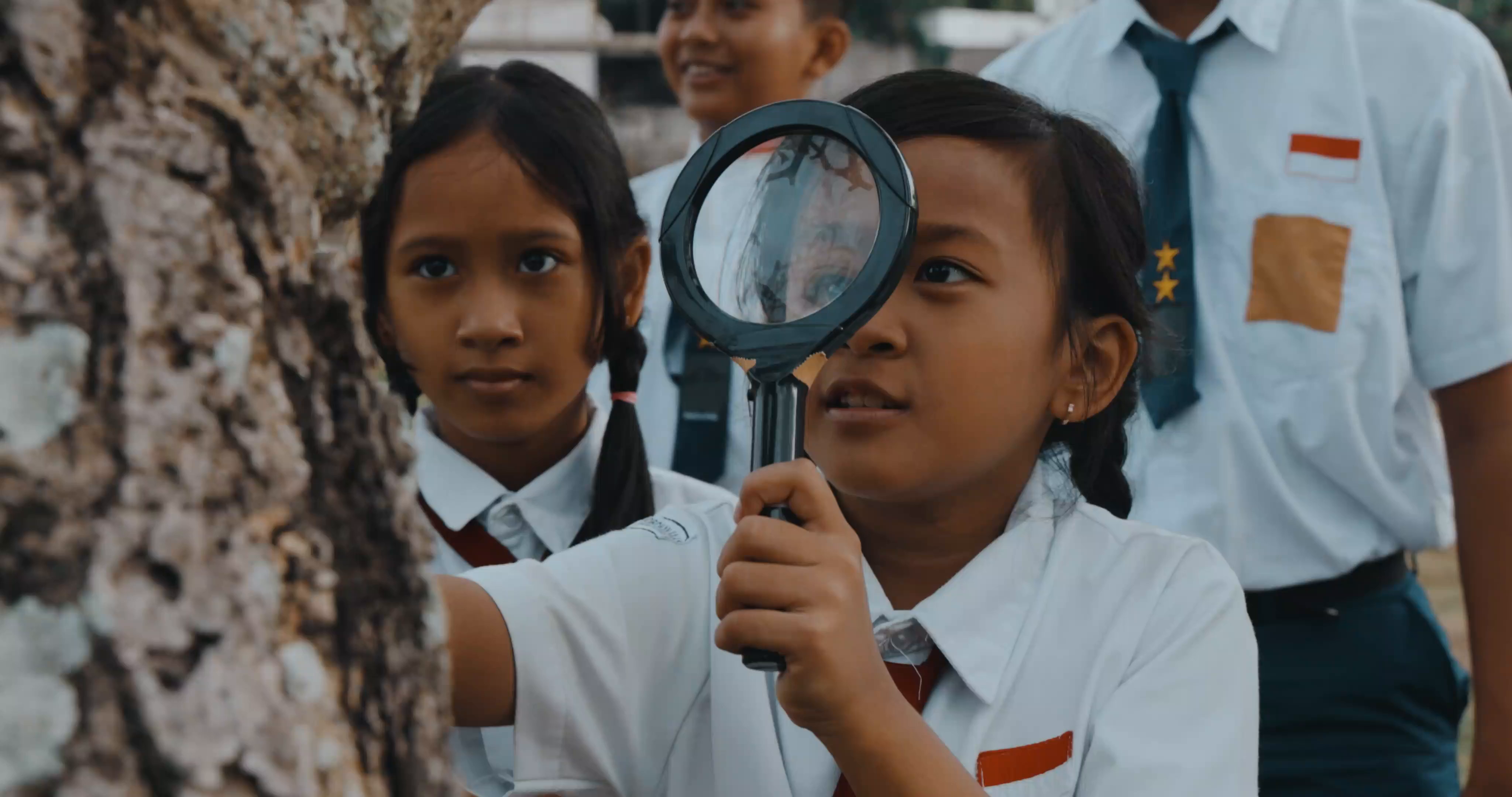 Teaching youth about biomes to support global environmental health